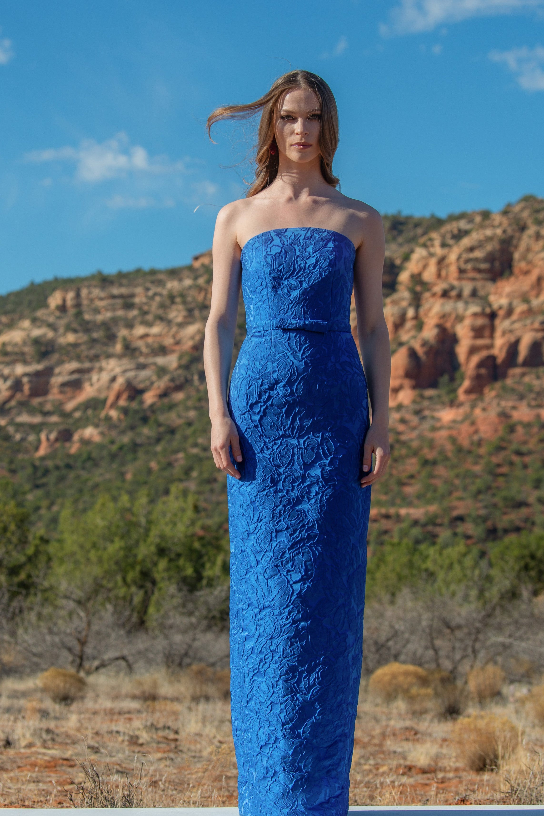 SOPHIA GOWN - MOONBEAM - 2