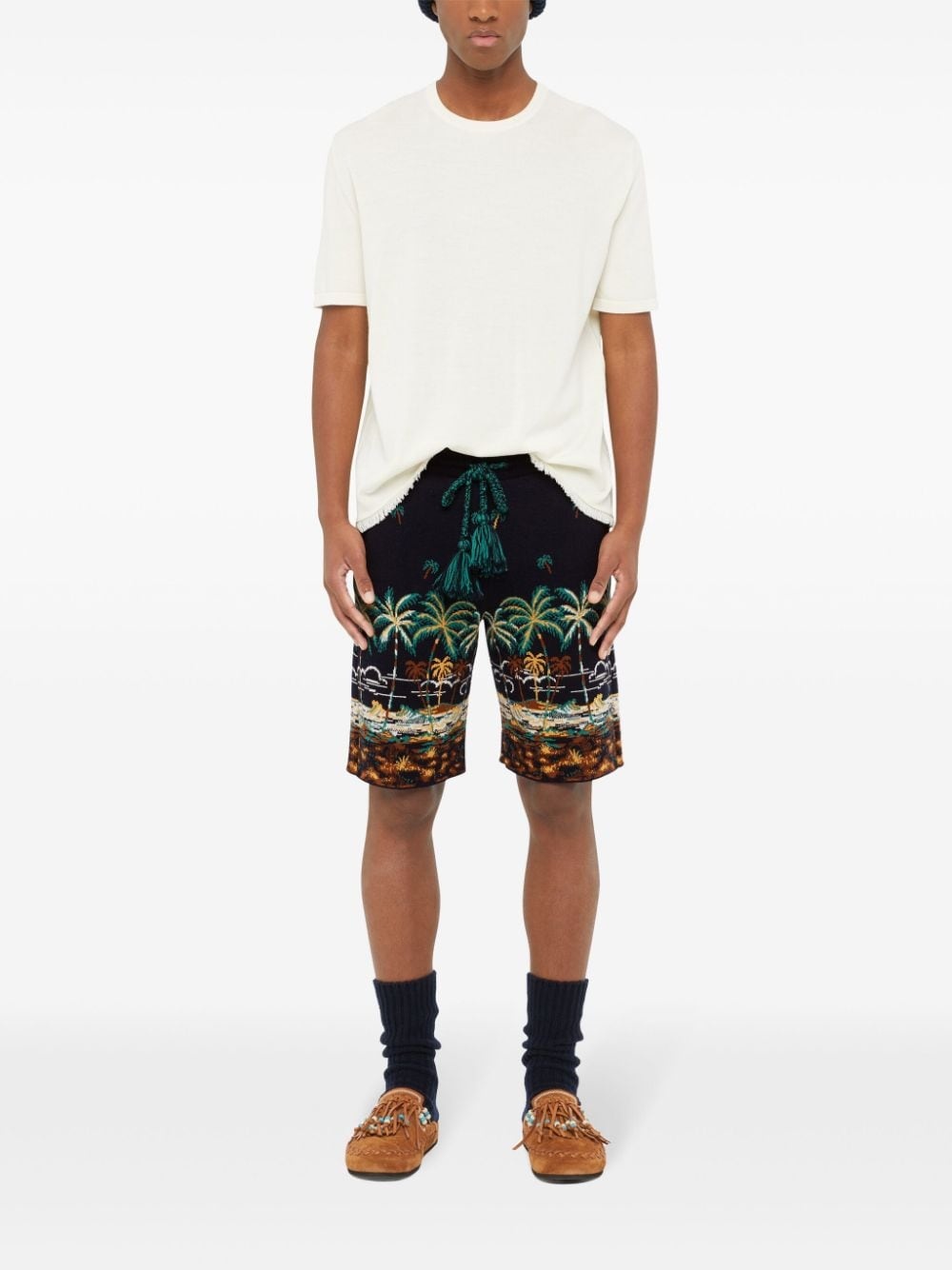 The Tale of a Hawaiian shorts - 3