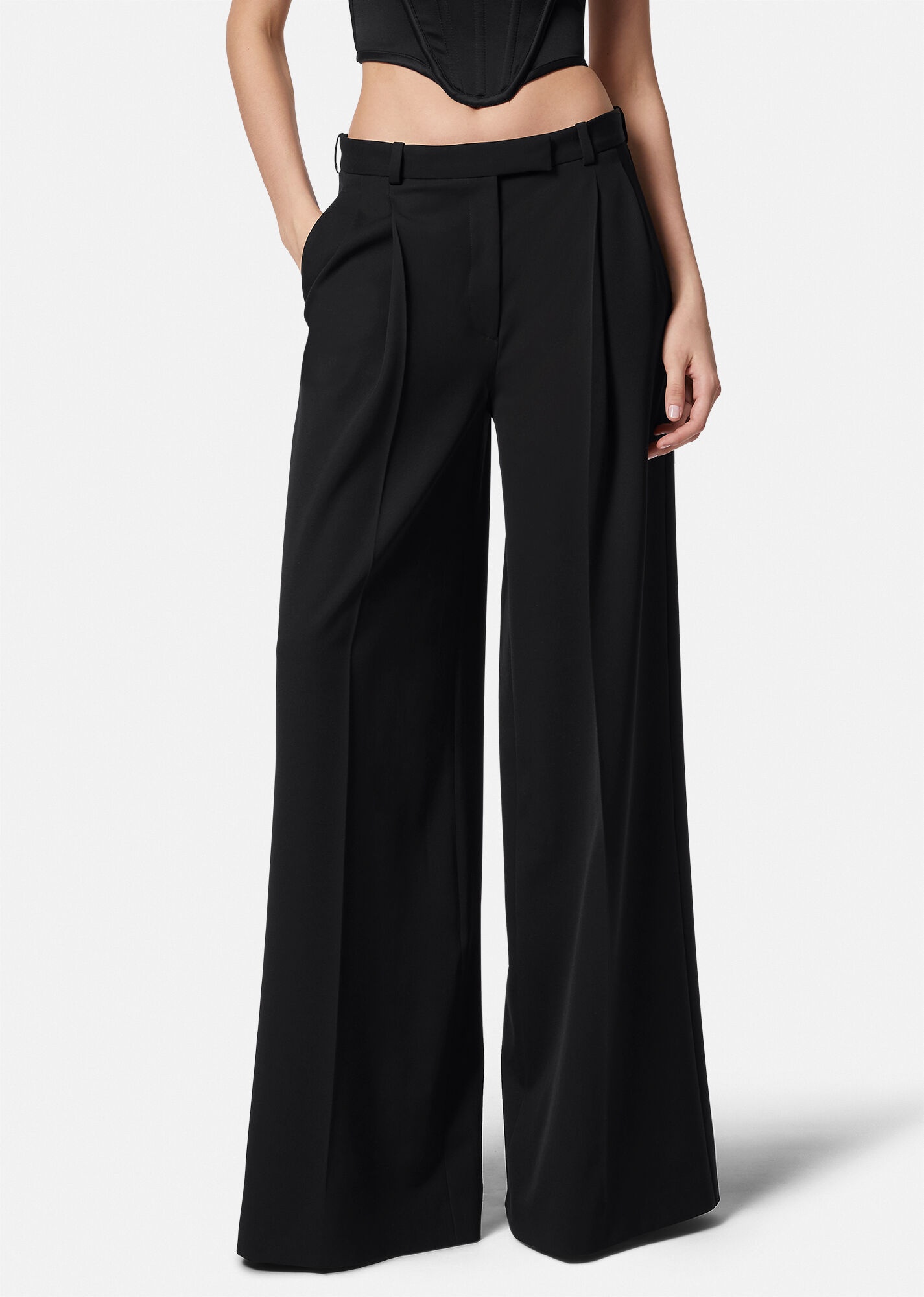 Pleated Wide-Leg Pants - 3