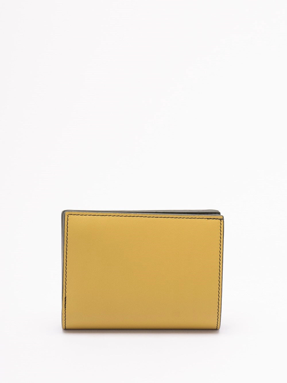 Loewe Women `Landscape` Compact Wallet - 2