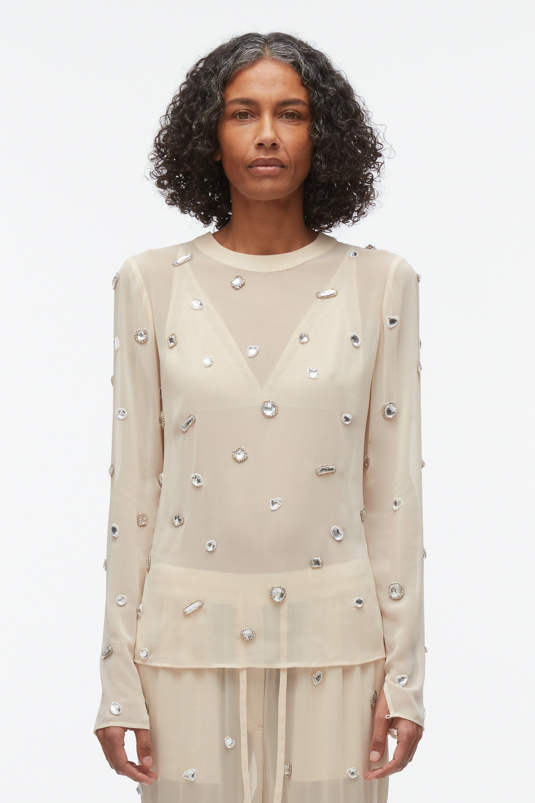 Halo Embroidered Chiffon Long Sleeve Top - 2