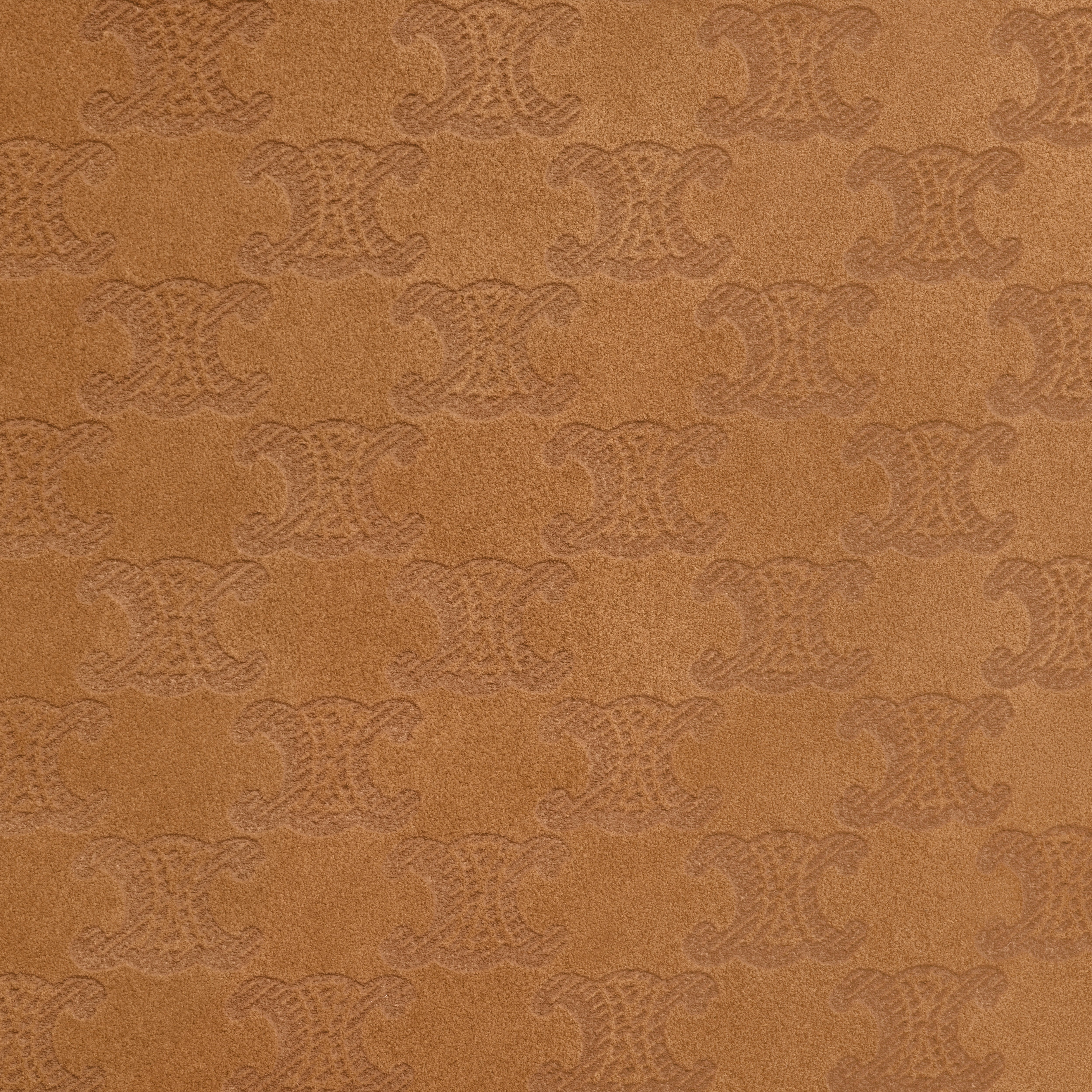 BUCKET in SUEDE CALFSKIN WITH TRIOMPHE ALL OVER - 5