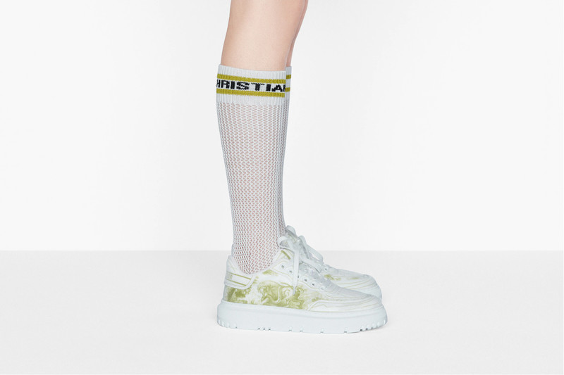 Dior Addict Sneaker 9