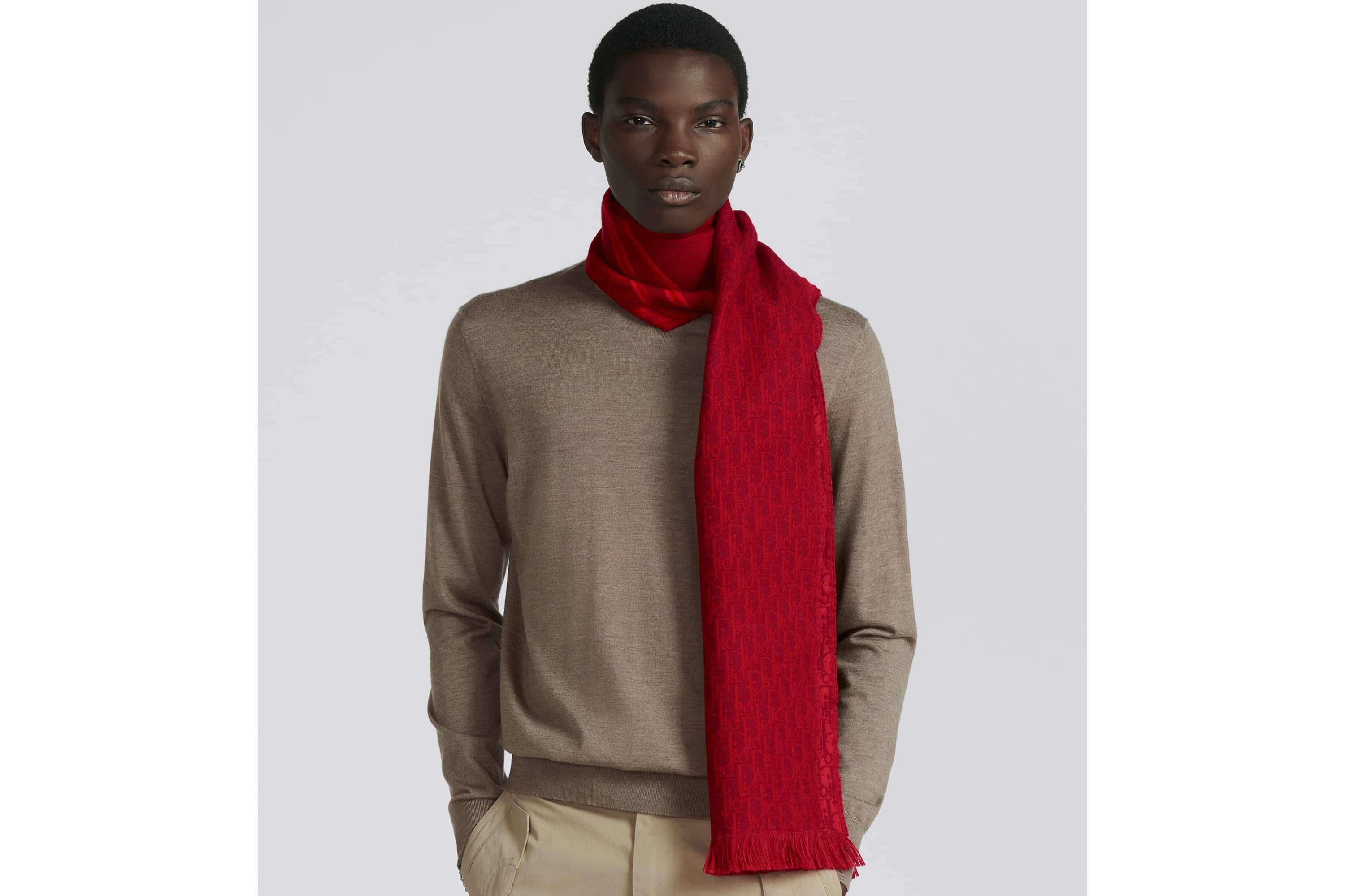 Dior Oblique Scarf - 6