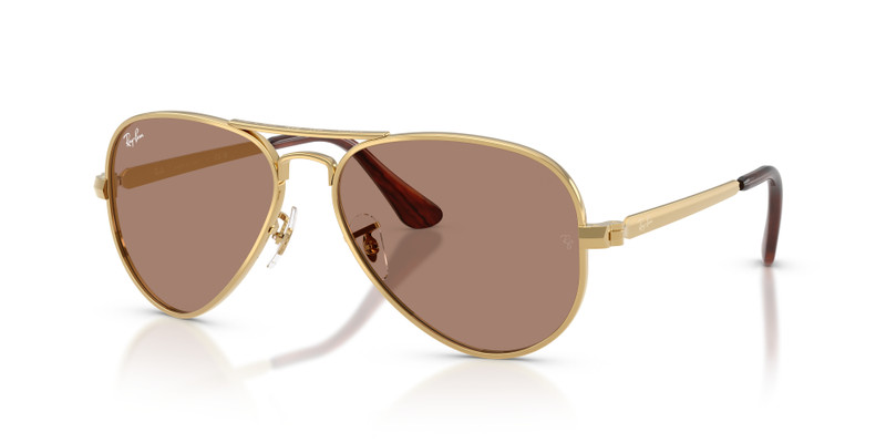 AVIATOR MAX HOLIDAY LIMITED 1