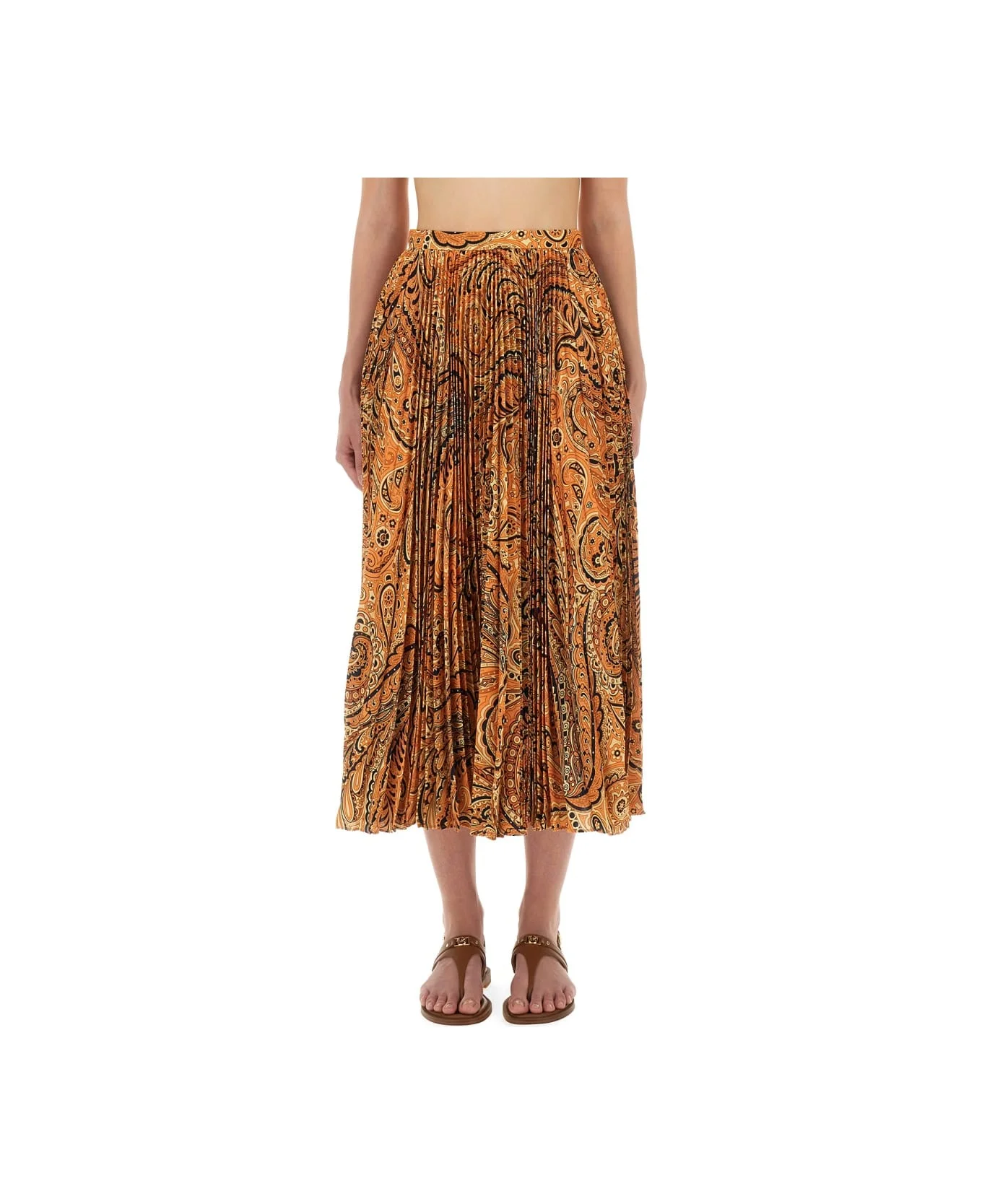 Pleated Sablé Skirt With Print - 1