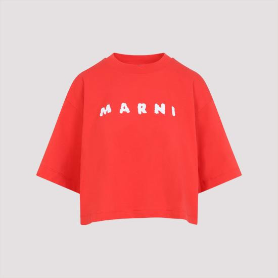 SHORT -SLEEVED T -SHIRT - 2