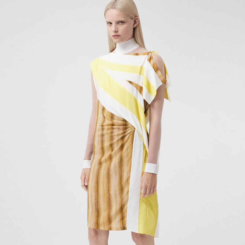 Flag and Animal Print Silk Asymmetric Dress 4