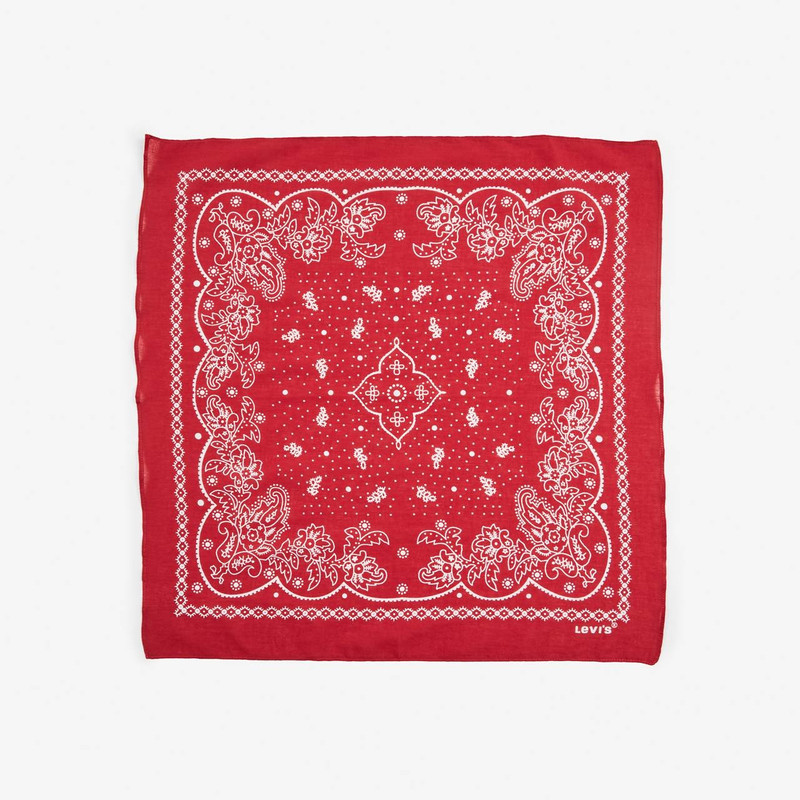 PAISLEY BANDANA 1