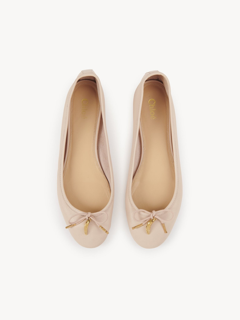 IRIS BALLERINA 4