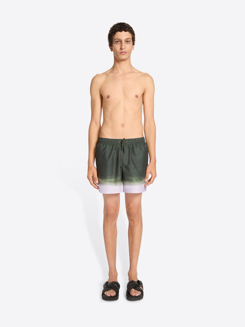 Dries Van Noten PRINTED SWIM SHORTS outlook