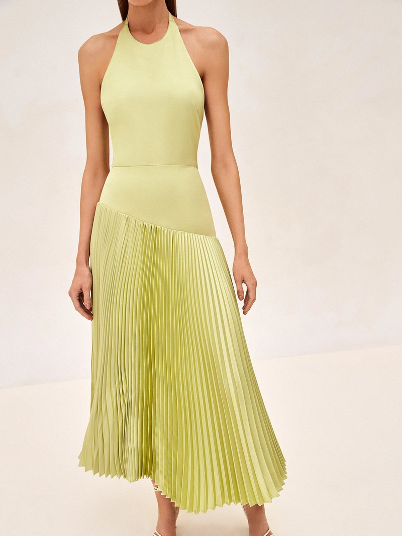 ALEXIS Saab Dress outlook