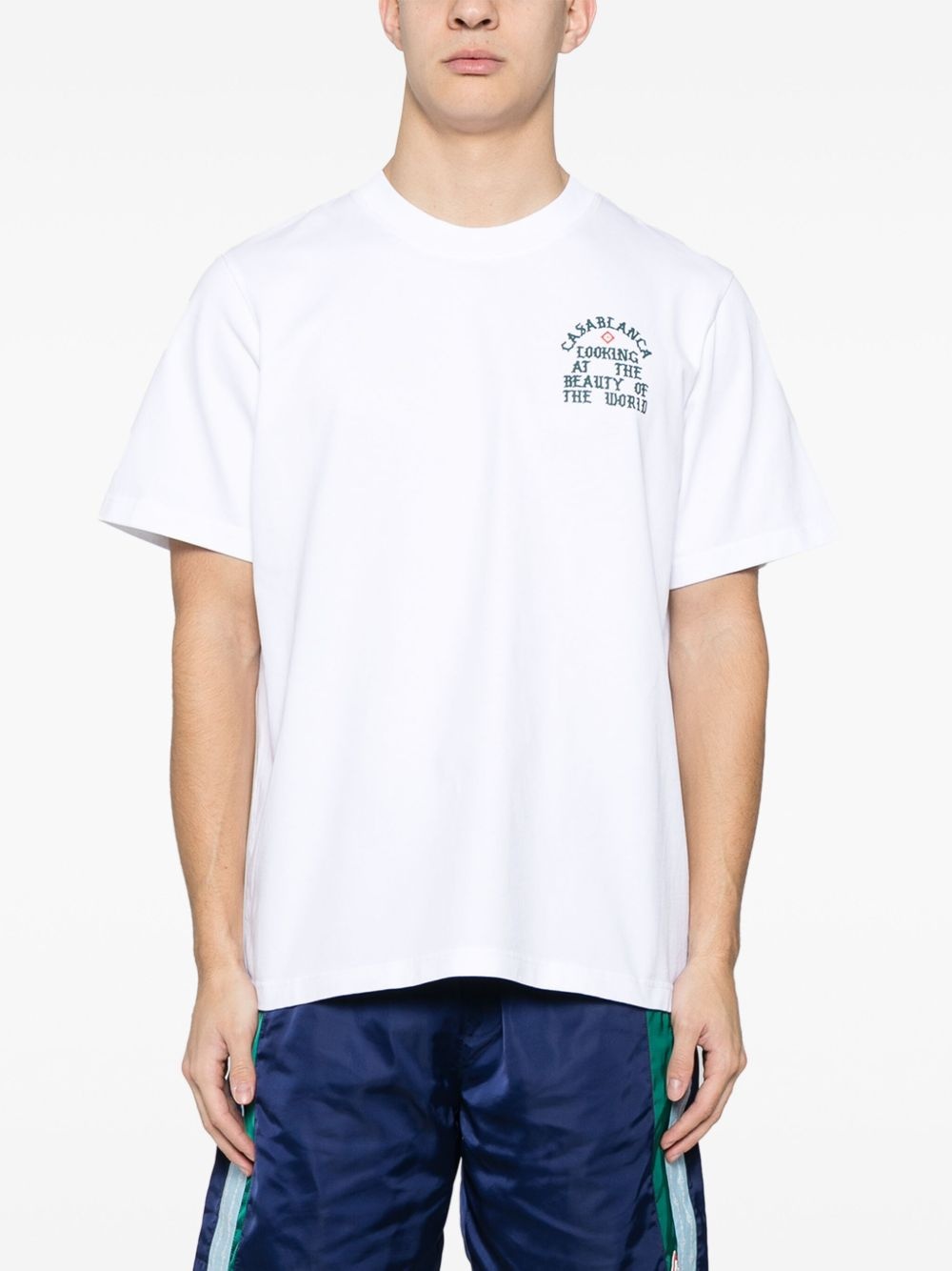 Looking At The Beauty Of The World T-shirt - 3