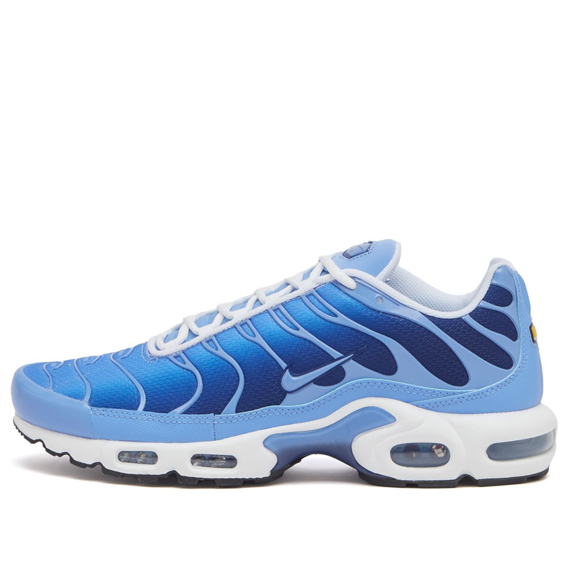 Nike Air Max Plus Sneaker - 1