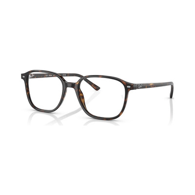 Ray-Ban RB2193 Leonard Transitions® outlook