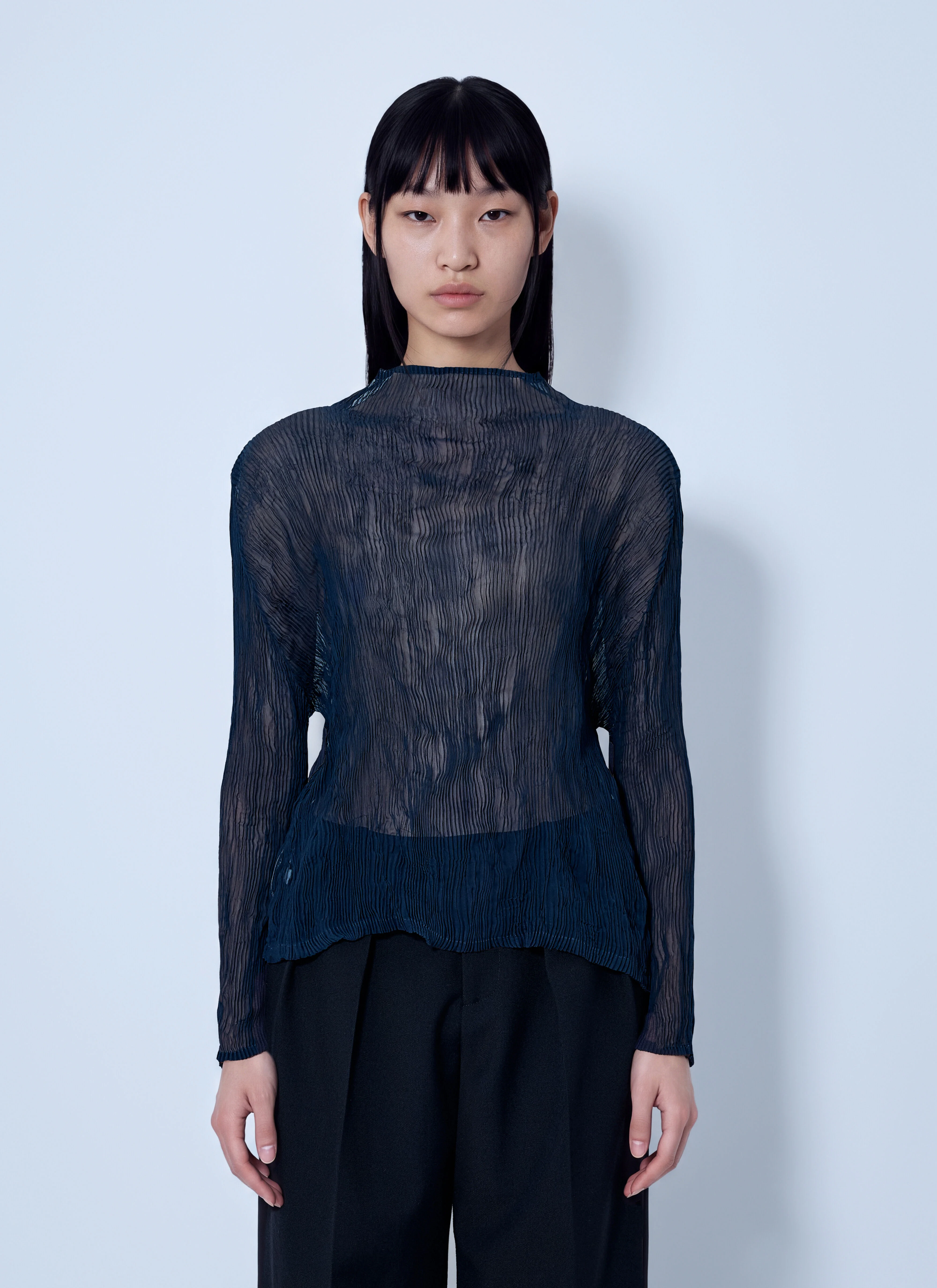 Sheer Long Sleeve Top - 1