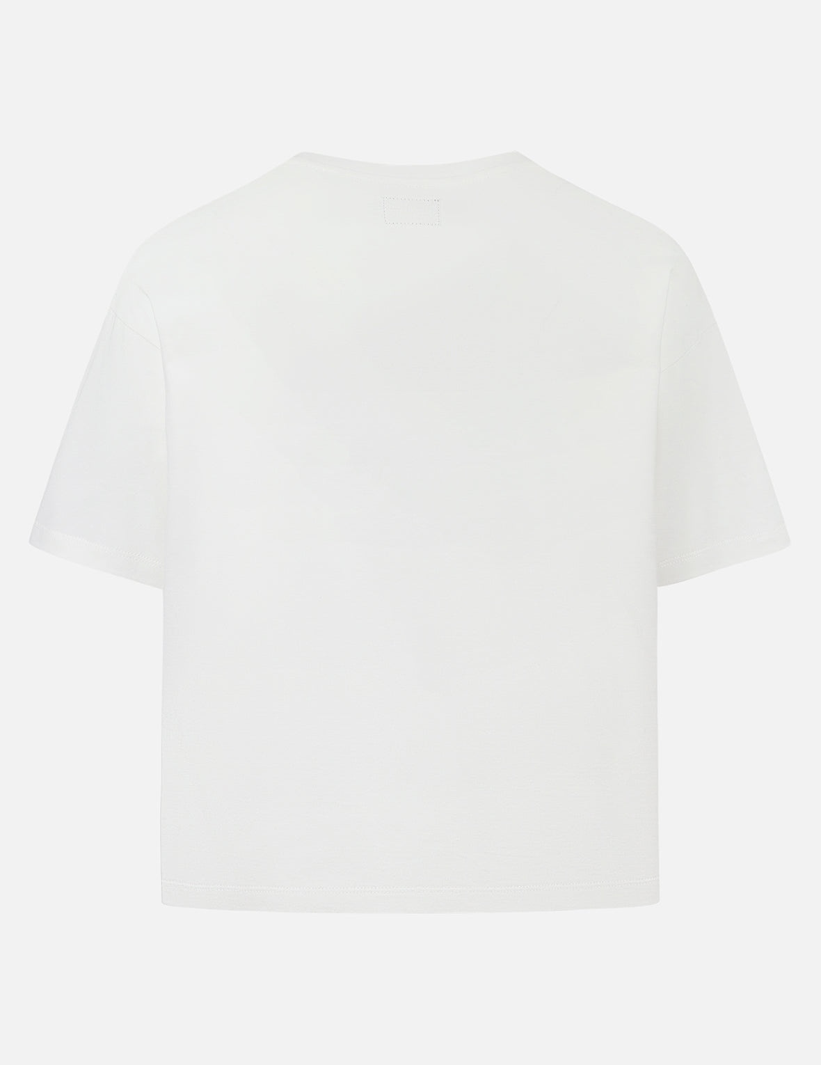 Seagull and Hummingbird Print Cropped T-shirt - 2