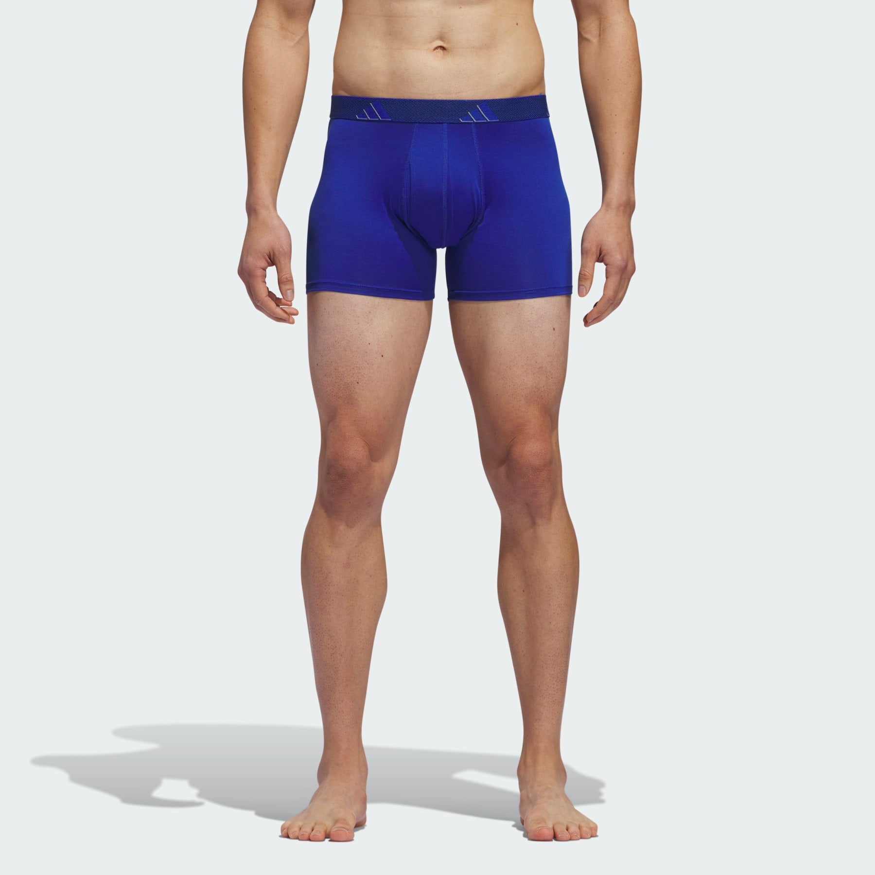 Microfiber 3-Pack Trunk Underwear - 2