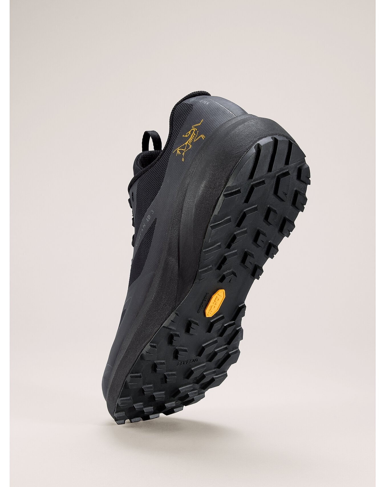 Norvan LD 3 GTX Shoe - 4