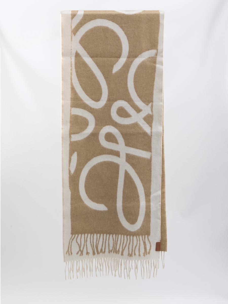 Loewe Scarf In Wool And Cashmere - 1