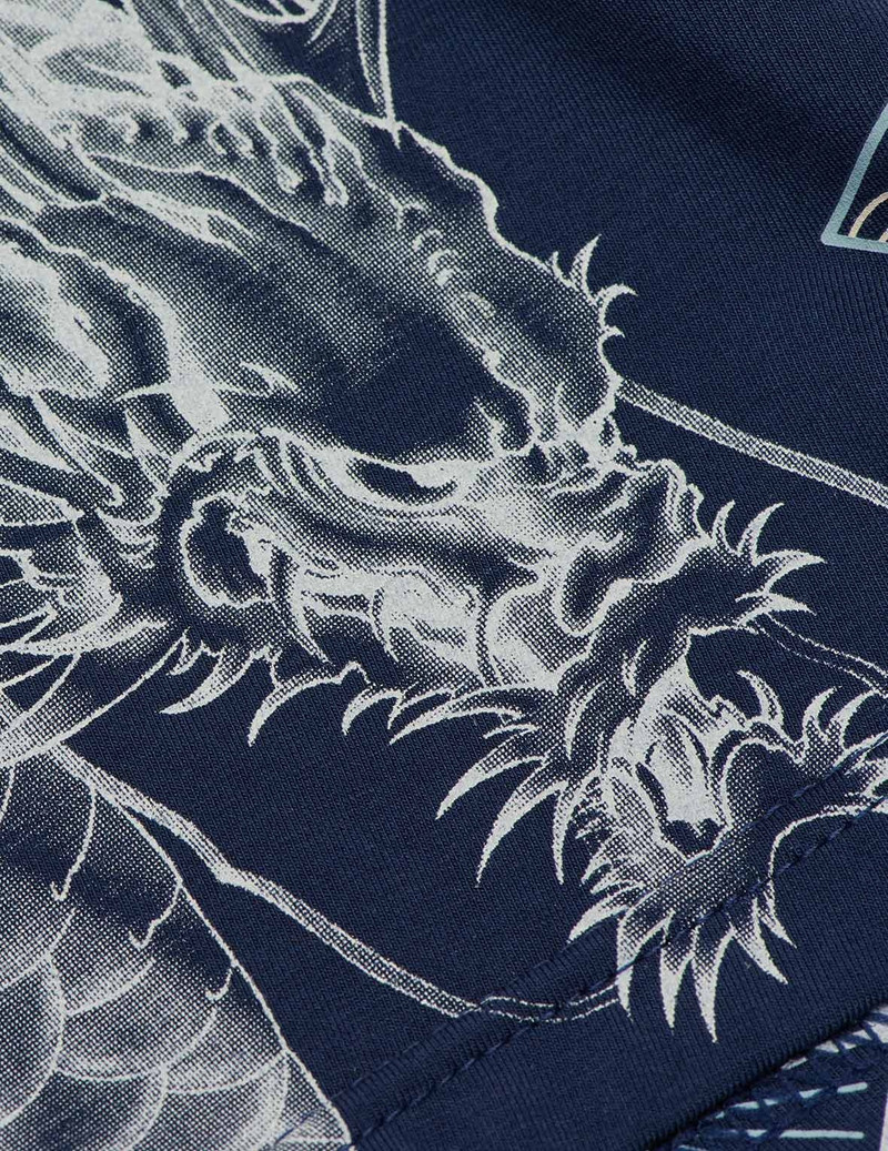 ALLOVER BROCADE AND DRAGON PATTERN PRINT TRUNKS 6