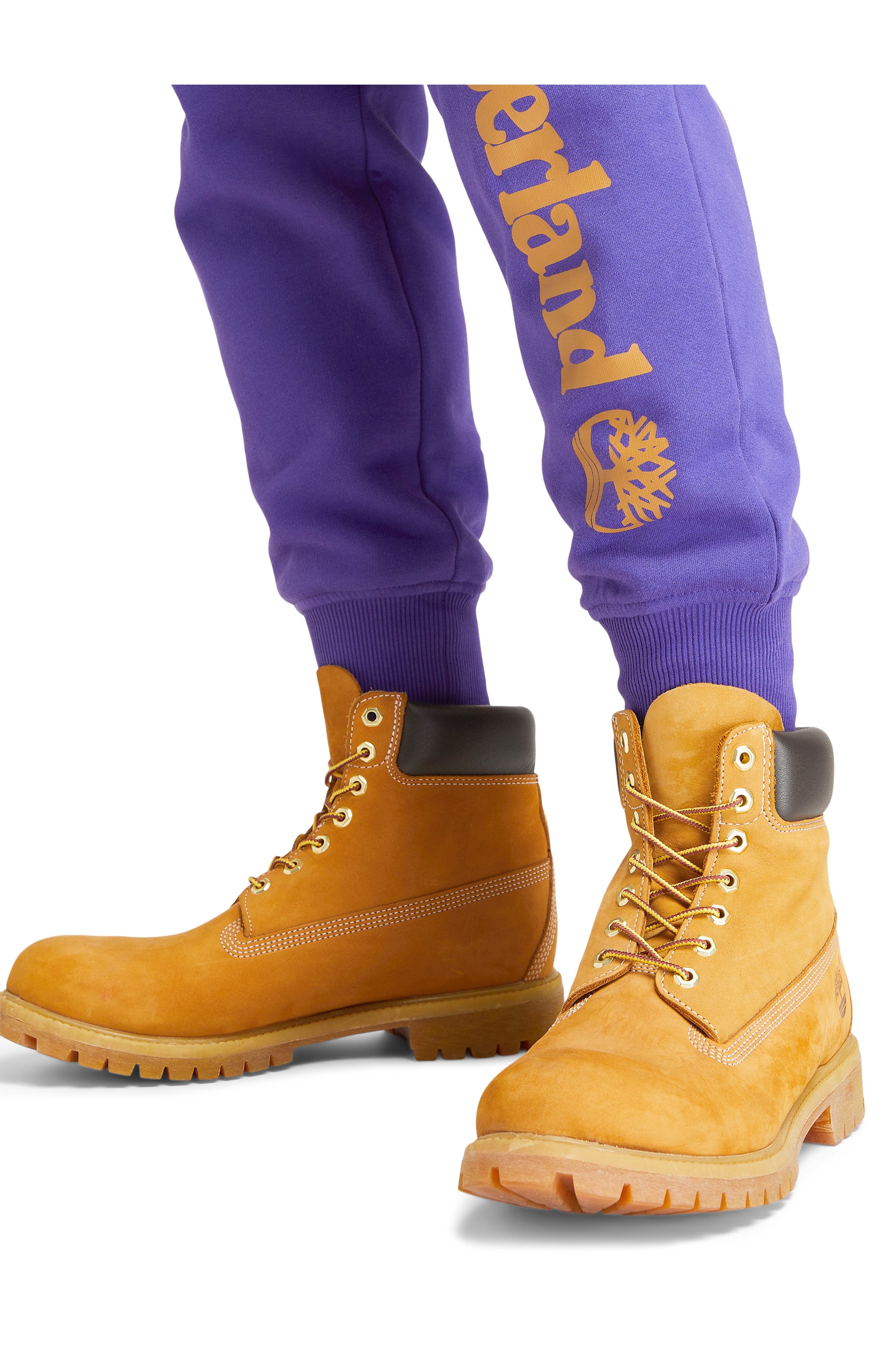 Timberland Premium 6-Inch Waterproof Boot in Wheat at Nordstrom - 2