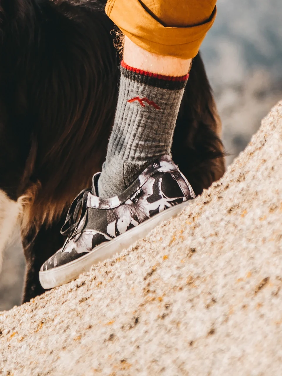 Darn Tough Men's Hiker Boot Midweight Hiking Socks - 1