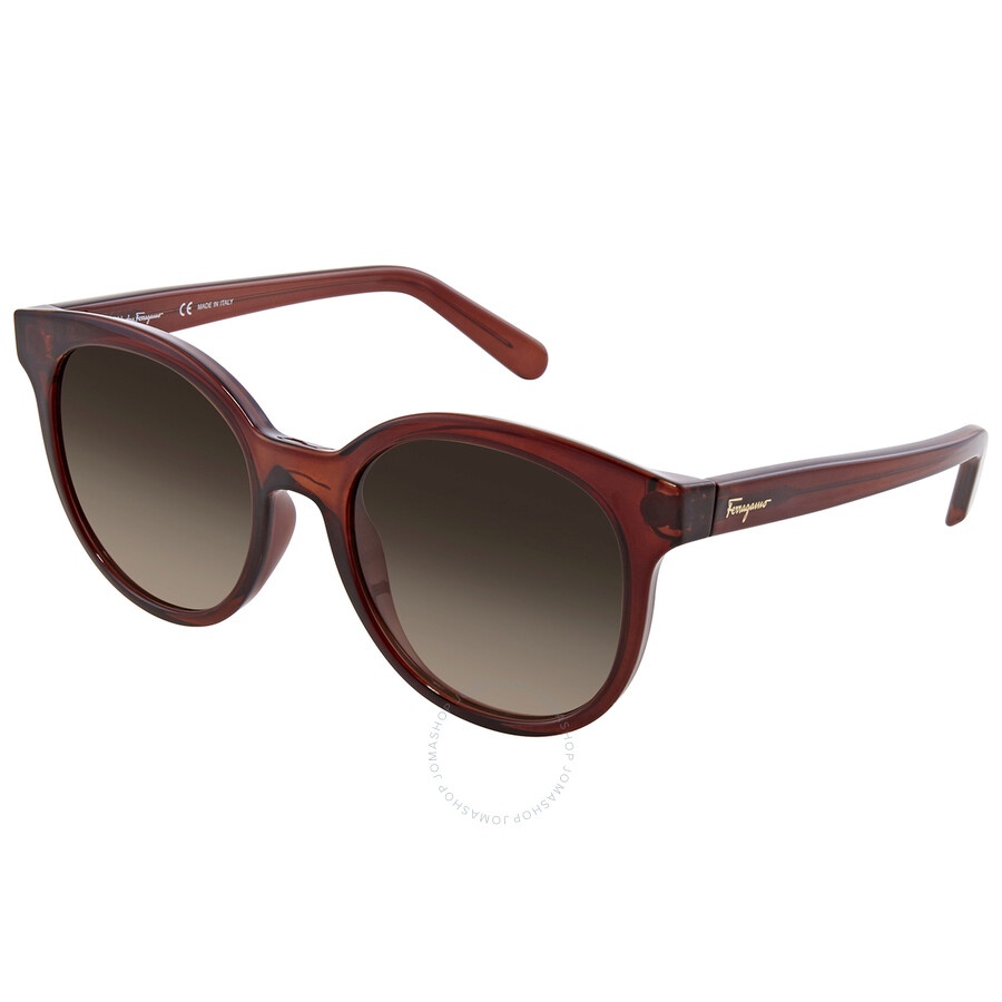 Ferragamo Brown Gradient Teacup Ladies Sunglasses SF833S 210 53 - 2