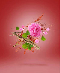 View image 7