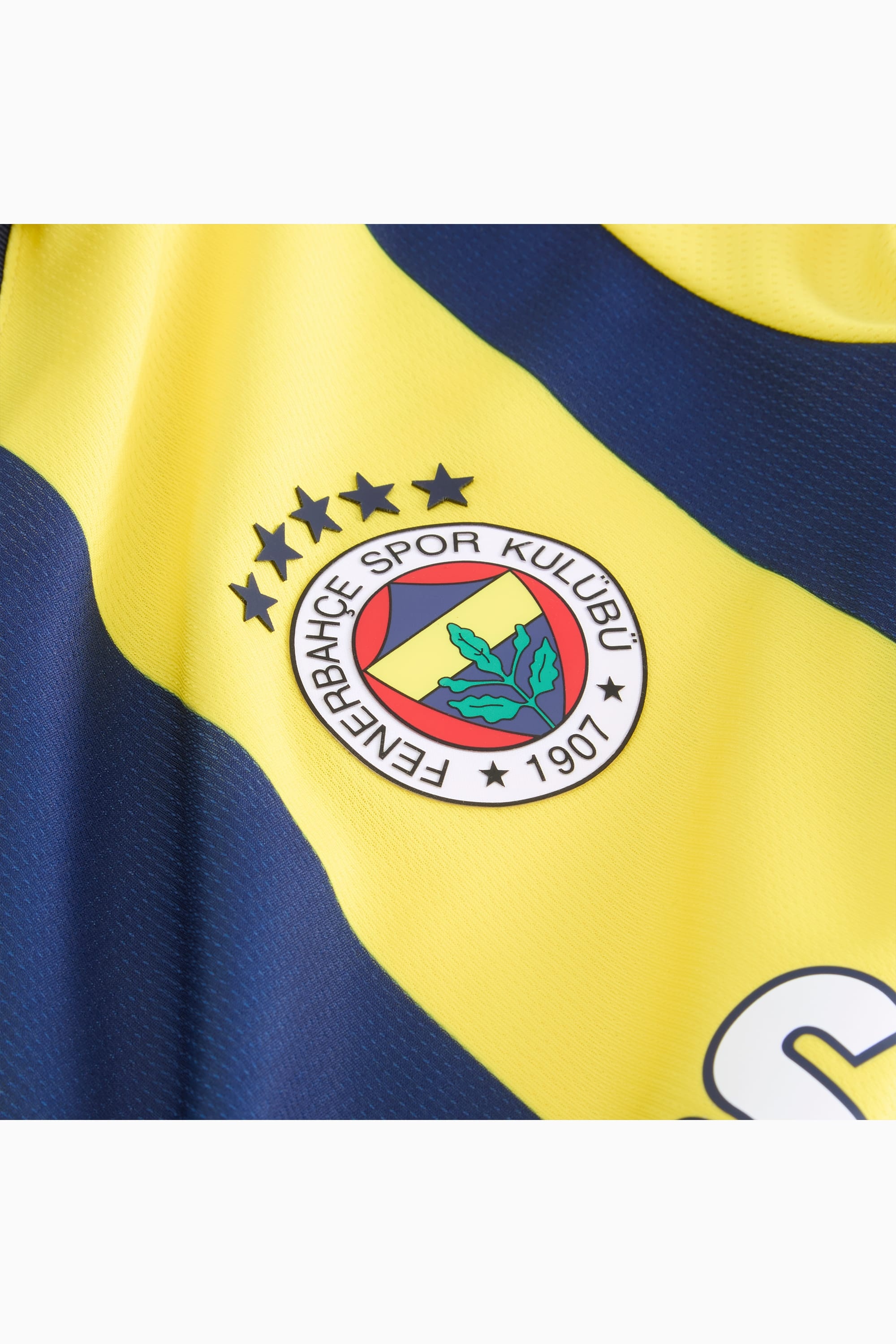 Fenerbahçe SK 24/25 Men's Replica Home Soccer Jersey - 6
