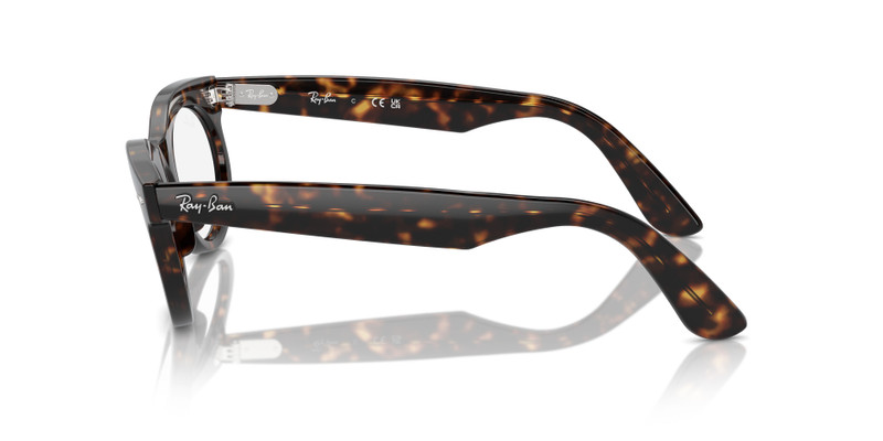 WAYFARER OVAL OPTICS 5
