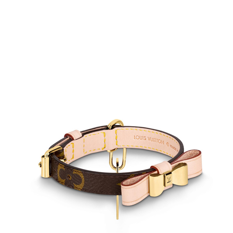 Baxter XSmall Dog Collar 3