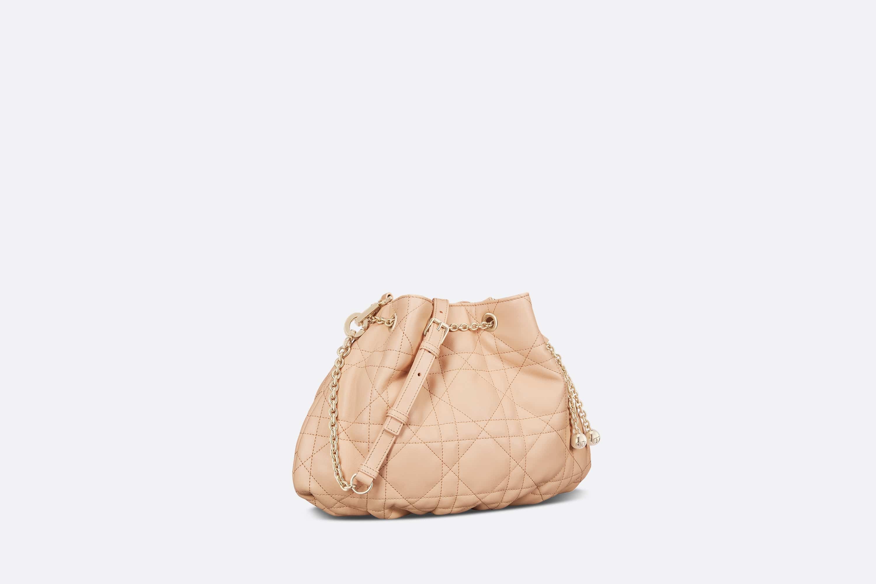 Medium Dior Ammi Bag - 2