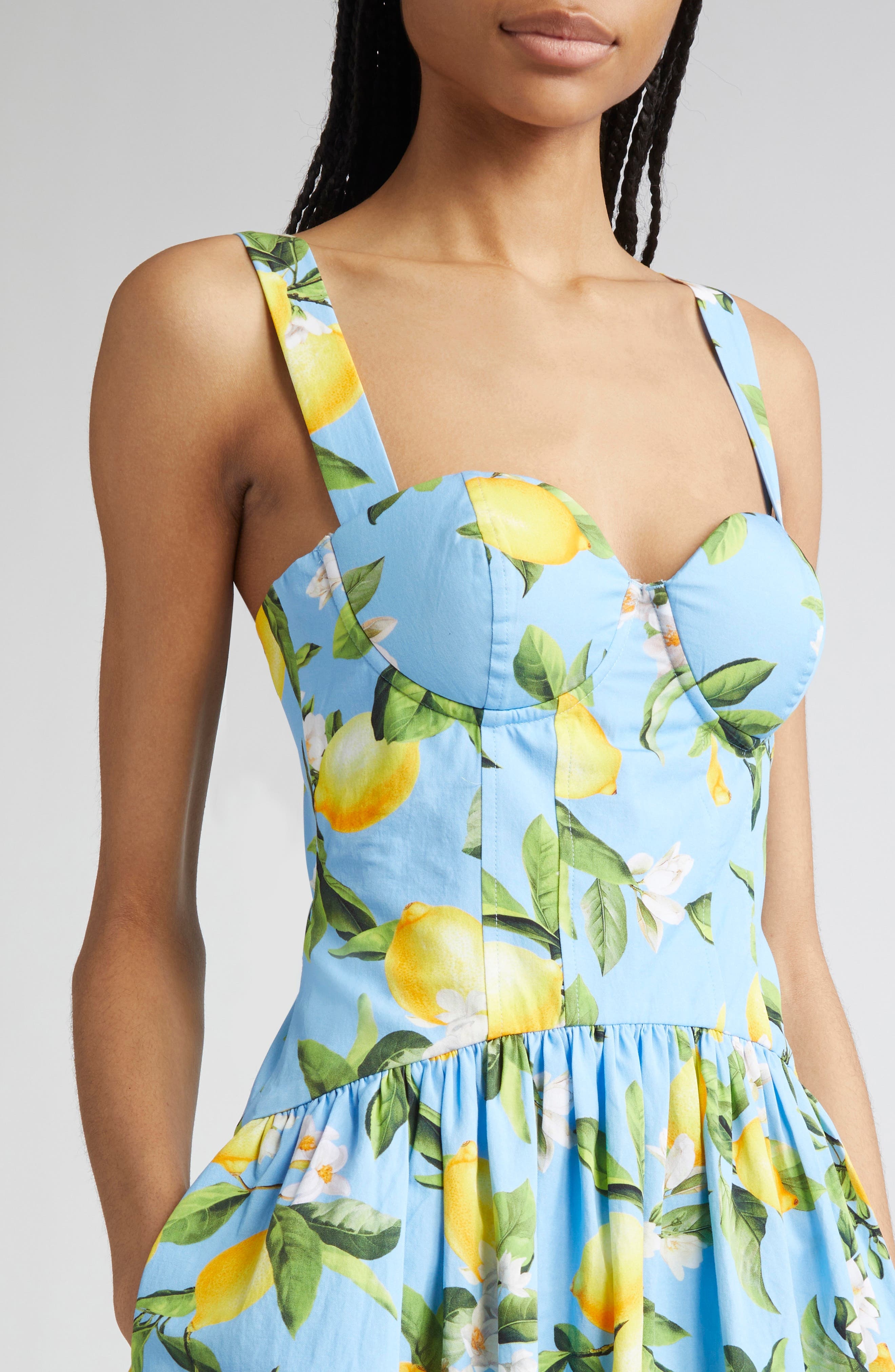 L'AGENCE Jai Lemon Print Corset Minidress in Sky Blue/Yellow Floral Lemon at Nordstrom - 4