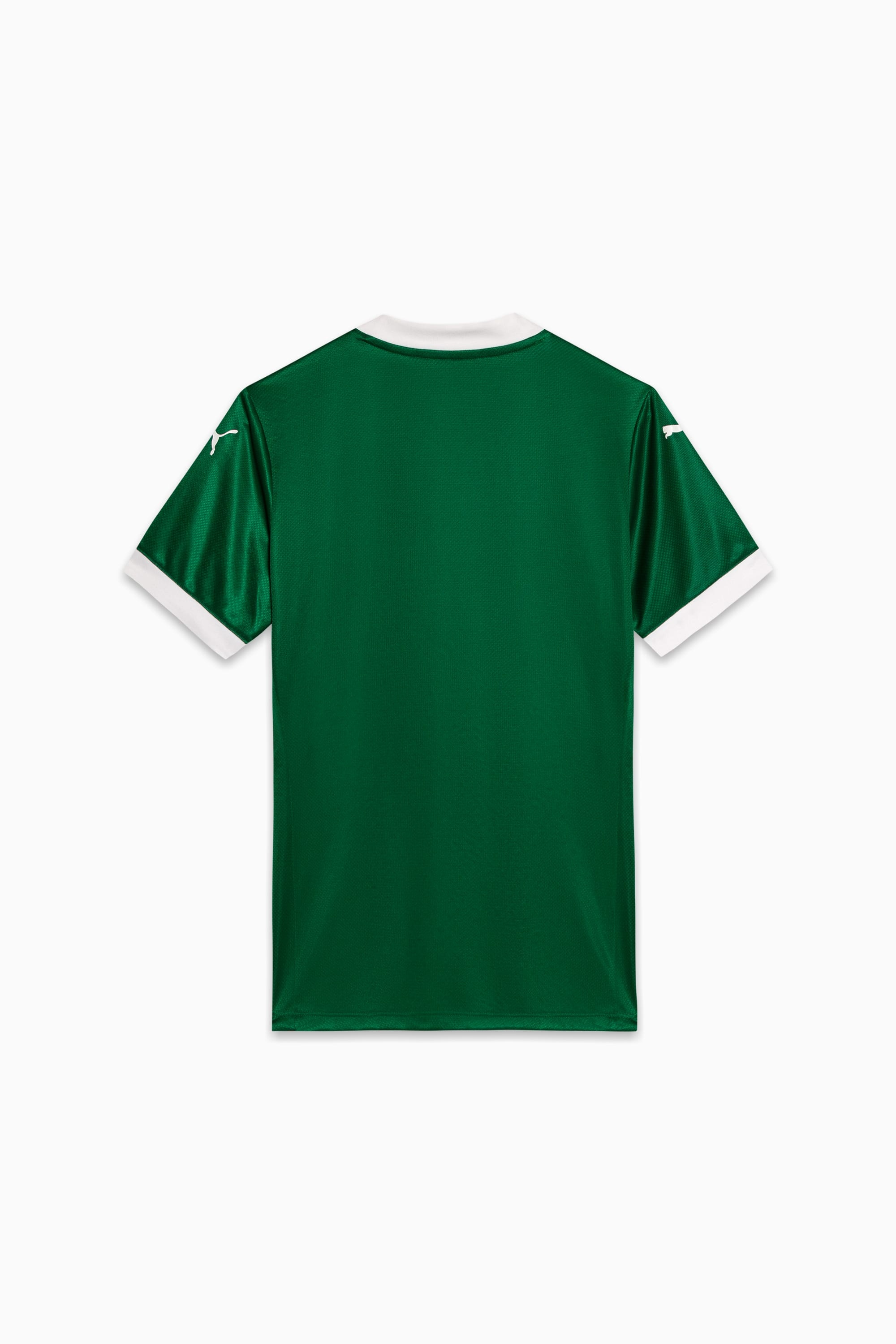 Palmeiras Jogador Home Jsy25 Men - 2