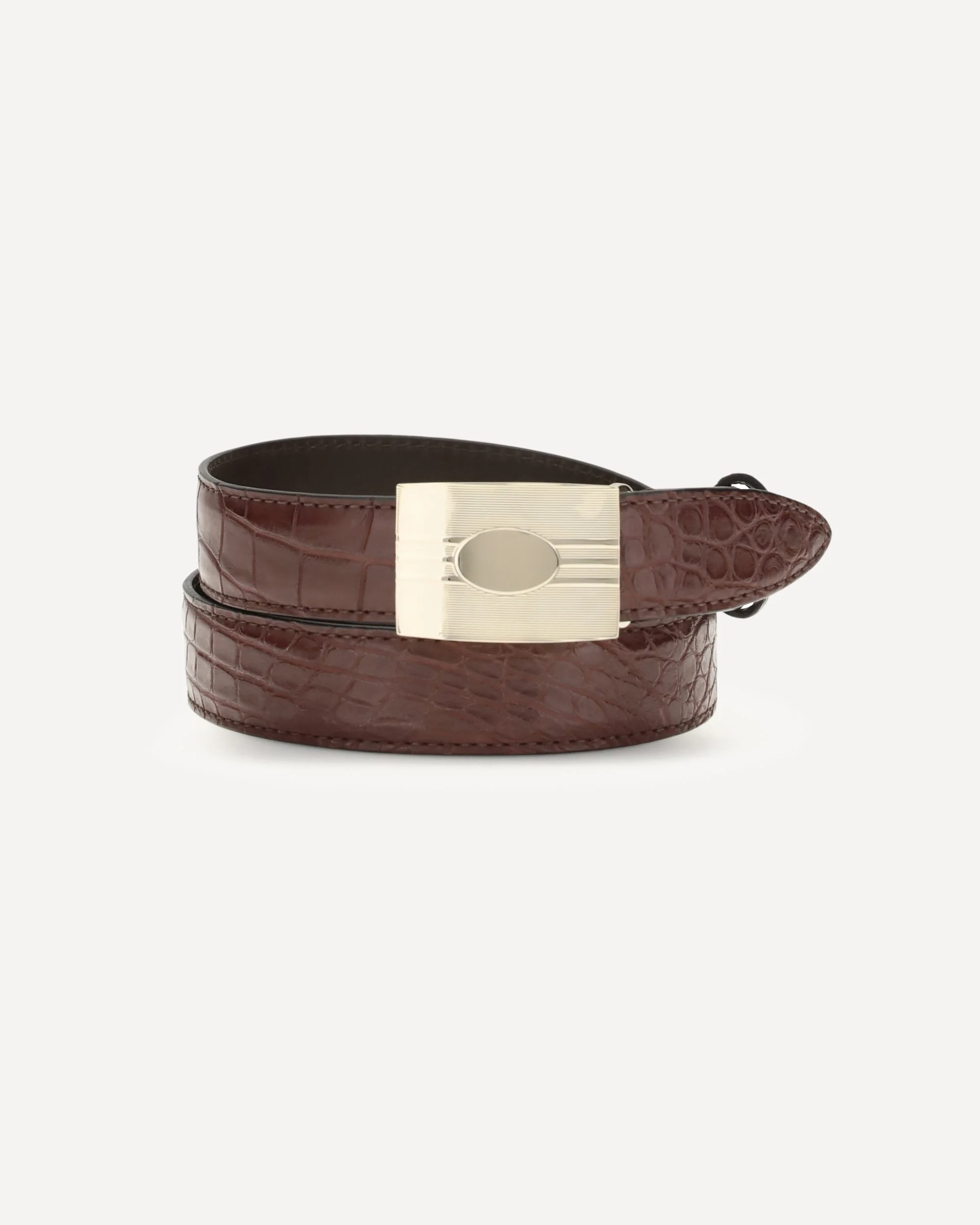 Alligator Belt - 1