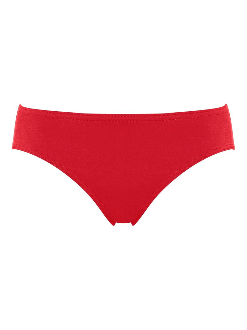 Success bikini briefs 1