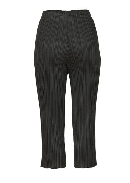 BASICS PANTS - 2