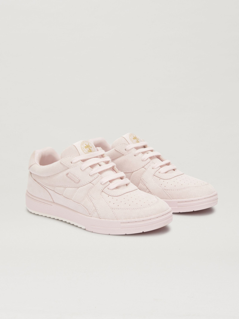 University Sneakers 2