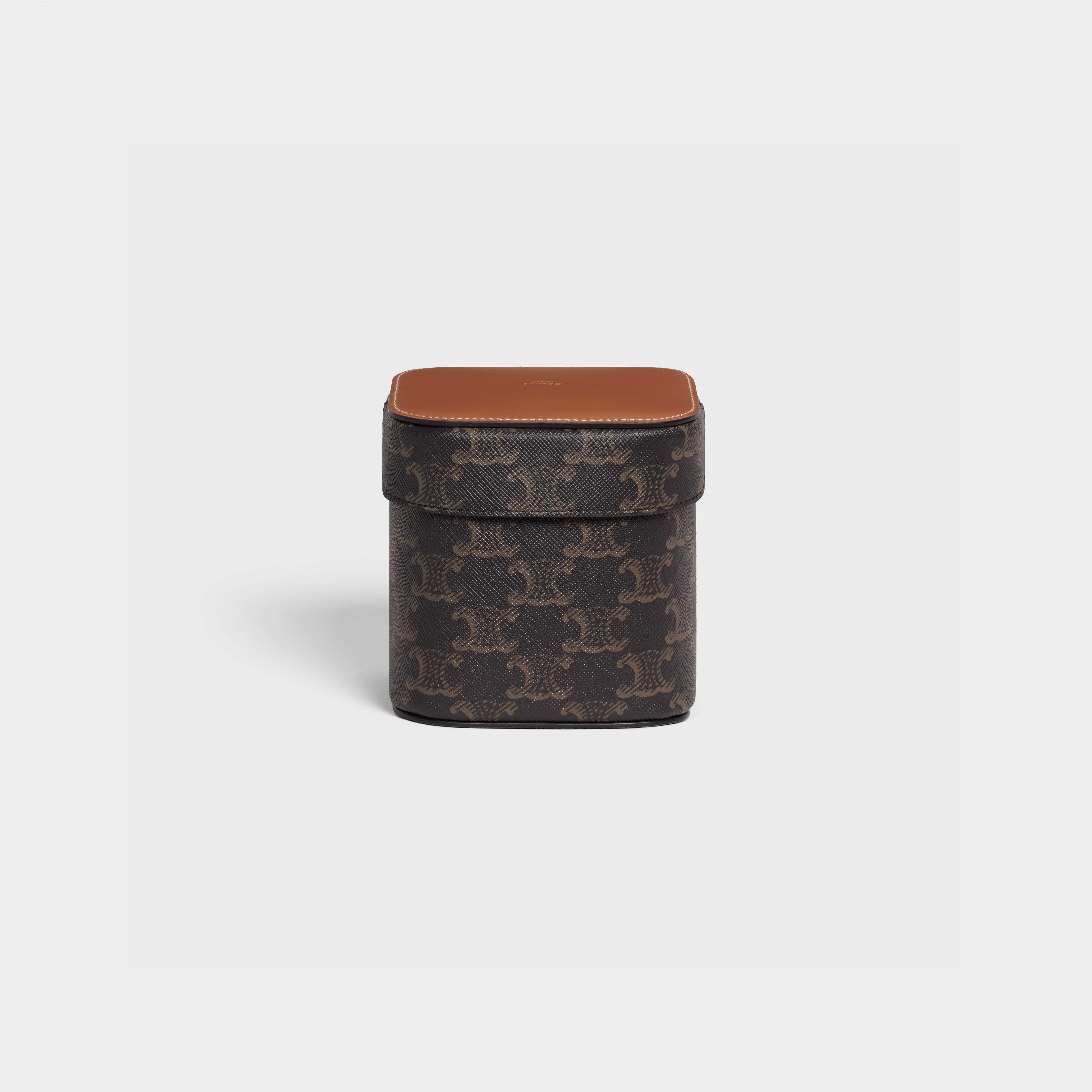 Small Box in Triomphe Canvas and Calfskin - 2