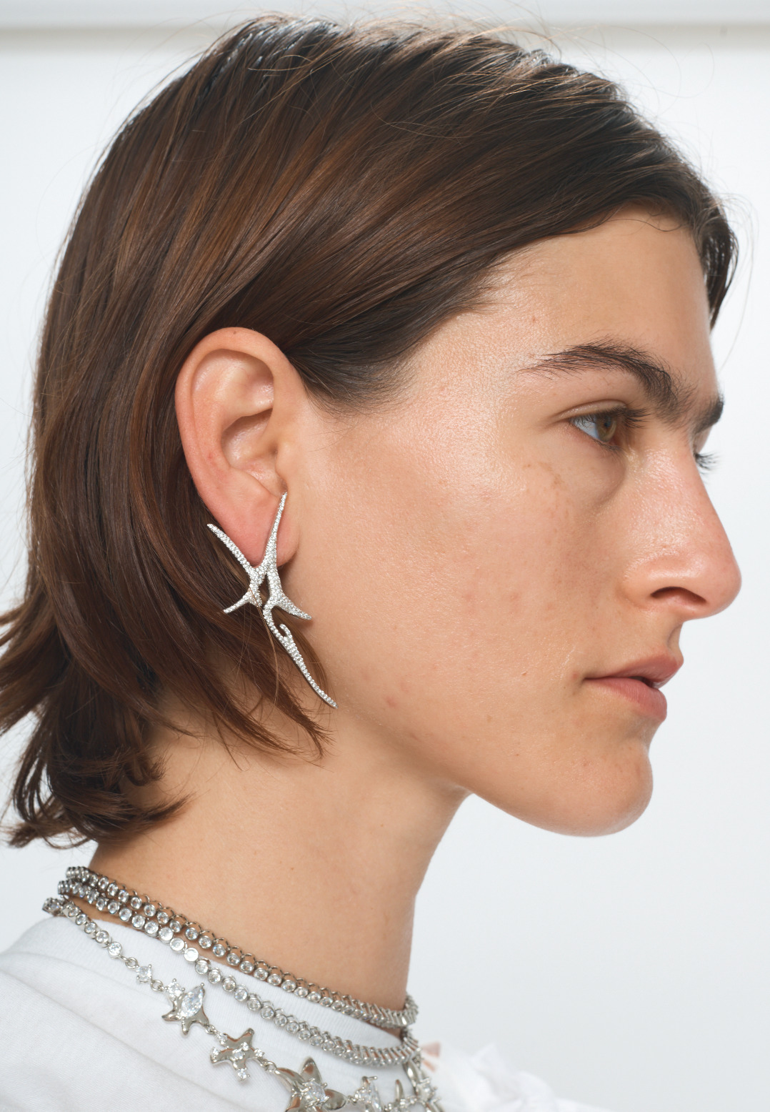 CRYSTAL CLEAR PAVE NOVA EARRINGS - 2