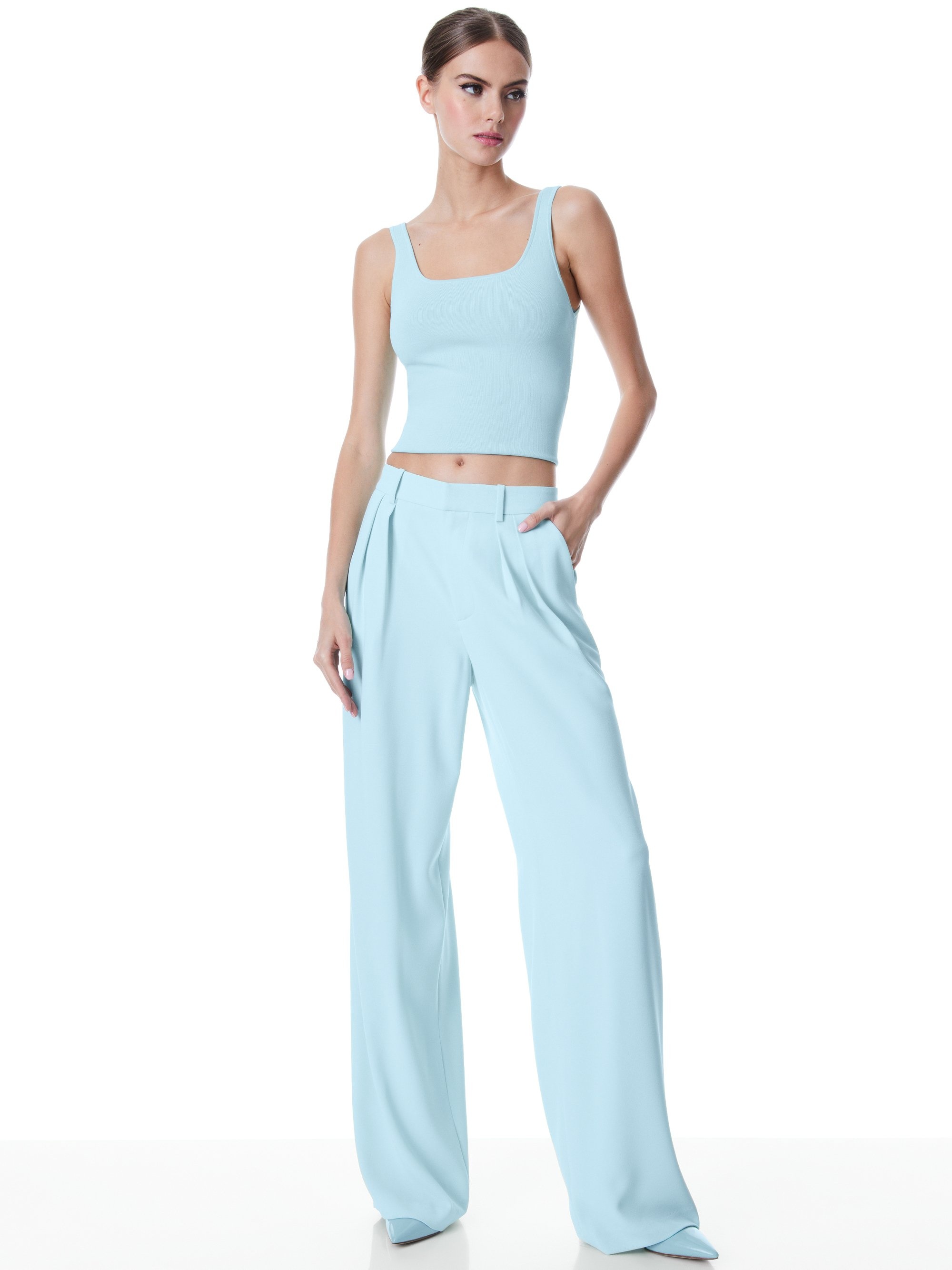 POMPEY HIGH WAISTED PLEATED PANTS - 6