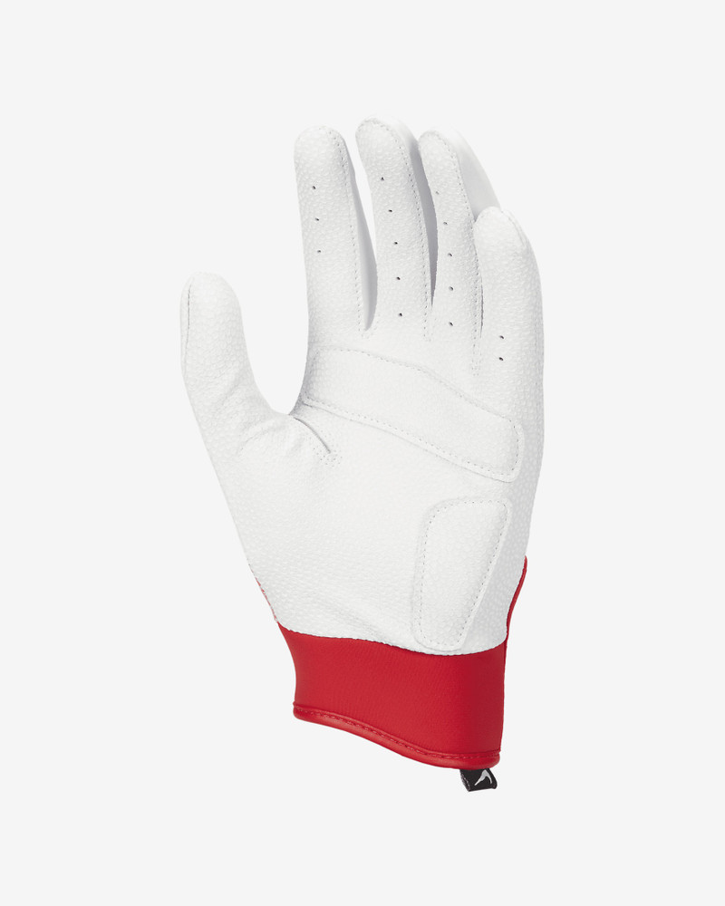 Nike Nike Women's Hyperdiamond Select Softball Gloves outlook