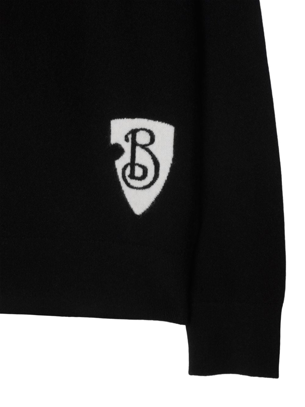 B Shield jumper - 4