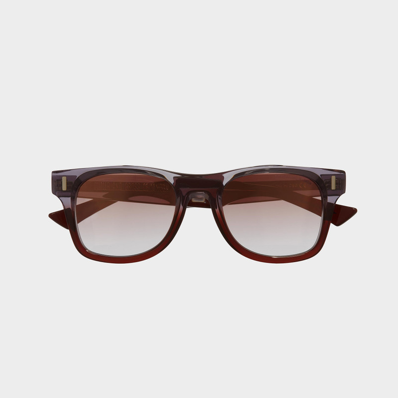 1339 D-FRAME SUNGLASSES 1