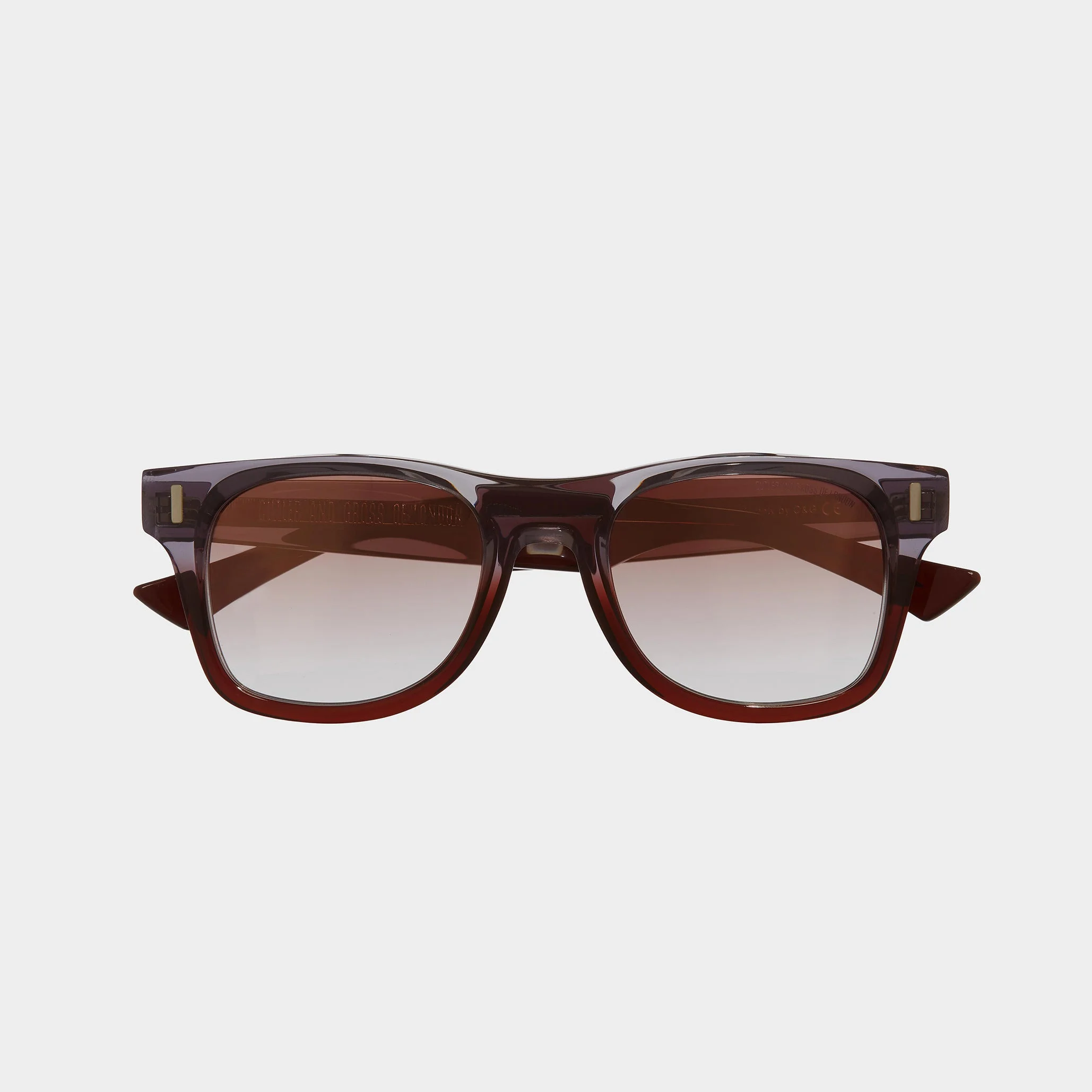 1339 D-FRAME SUNGLASSES - 1