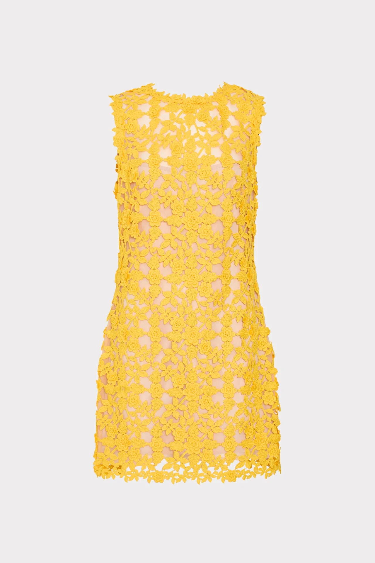 Ivette Lace Mini Dress - 1