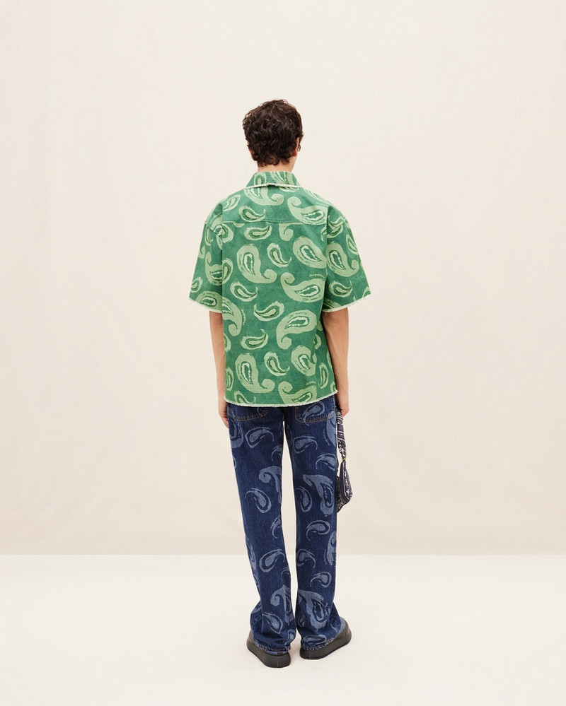 La chemise Artichaut 4