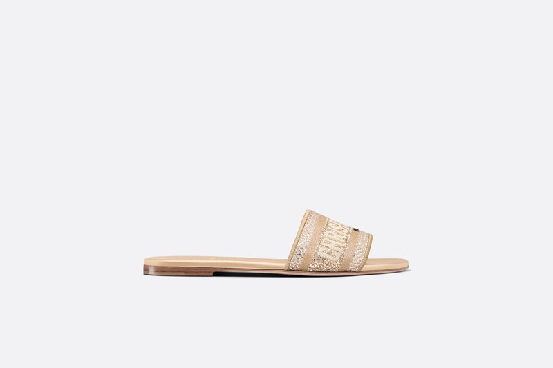 Dior Dway Slide outlook