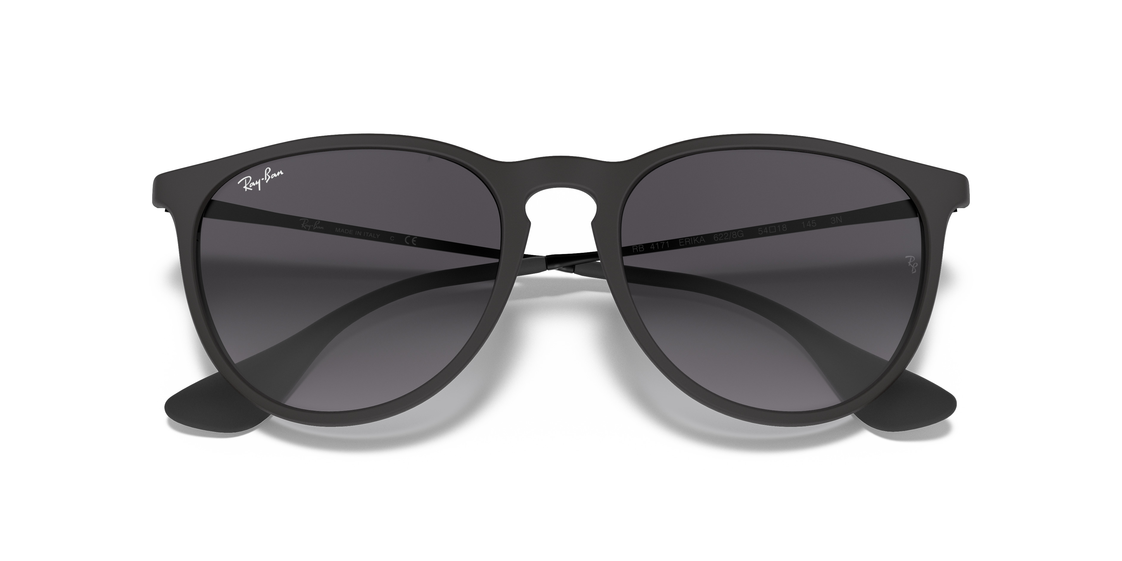 RB4171 Erika Classic - 5